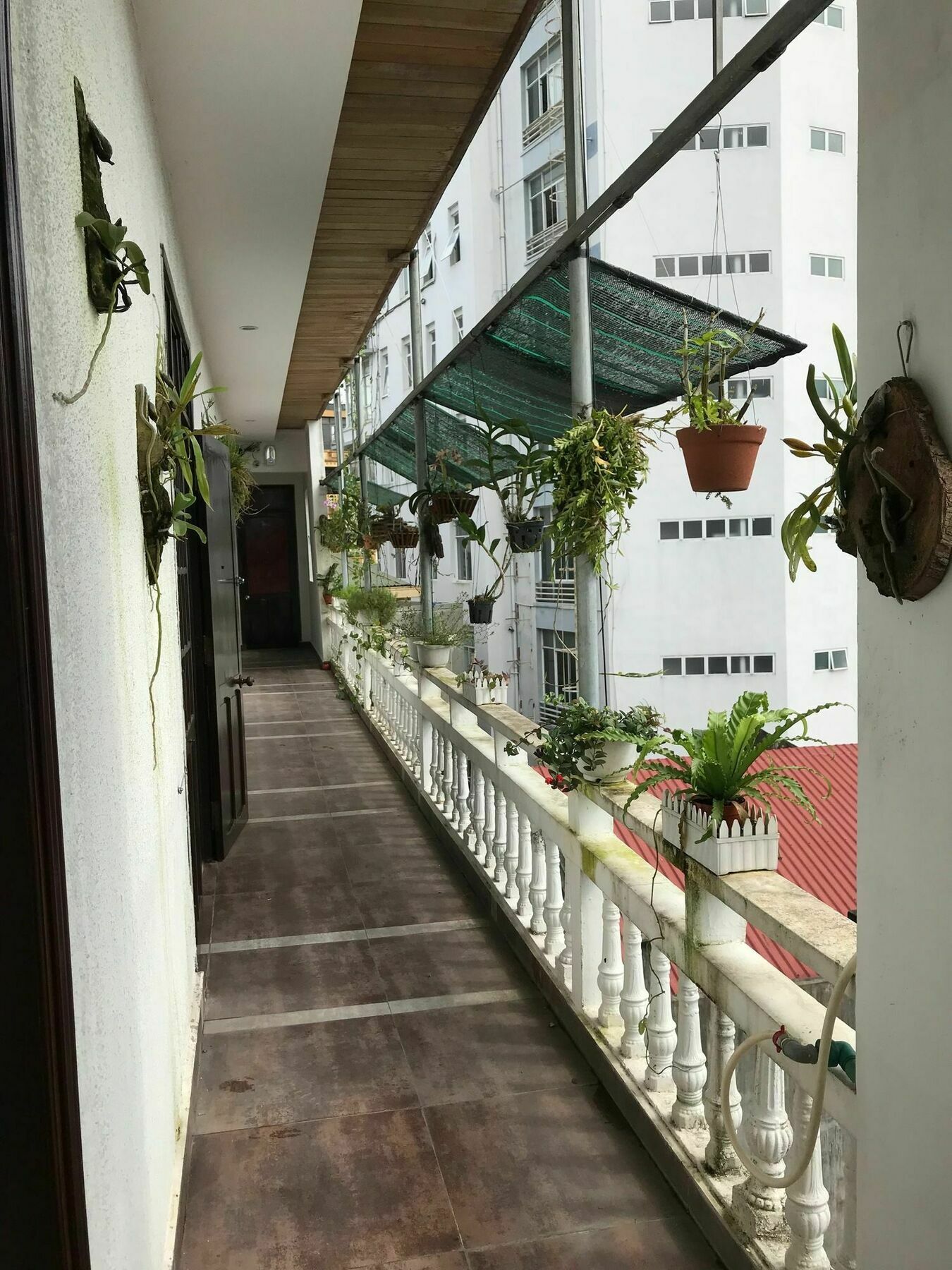 Sunny A Hotel Hue Exterior foto